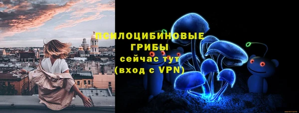 марки lsd Белокуриха