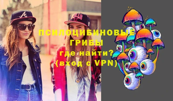 марки lsd Белокуриха