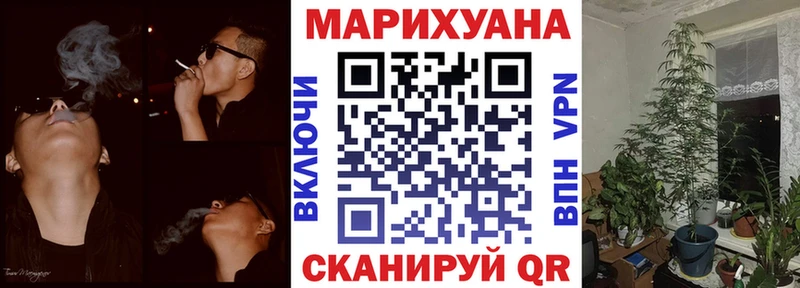 как найти   Велиж  MEGA рабочий сайт  Бошки Шишки SATIVA & INDICA 